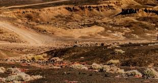 了不起！广东女选手4次参加残特奥会终夺金